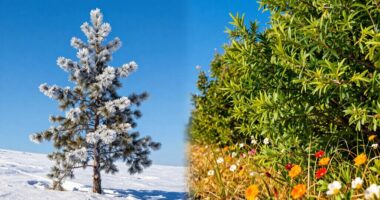 adjust routines for seasons