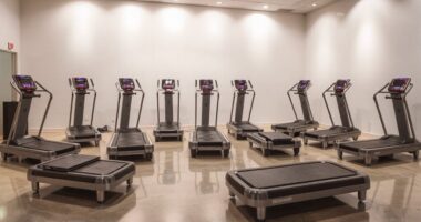 affordable vibration plate options