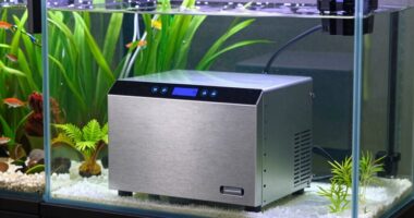 aquarium ice bath chillers