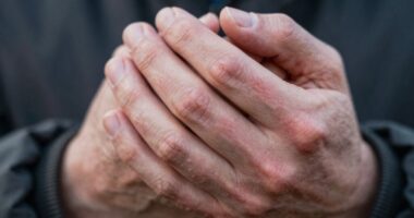 body temperature regulation mechanisms