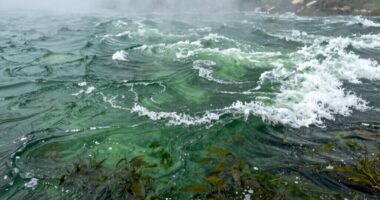 causes of green water