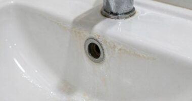 cleaning waterline buildup safely