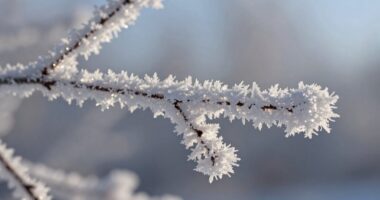cold exposure terminology simplified