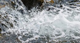 foam indicates water contamination