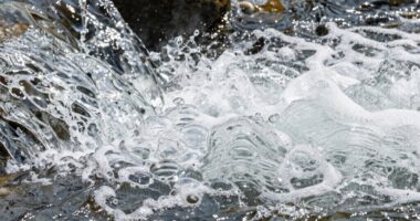 foam indicates water contamination