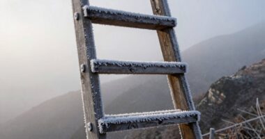 gradual fearless progress method