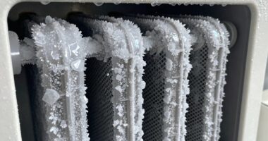 ice machine scale buildup