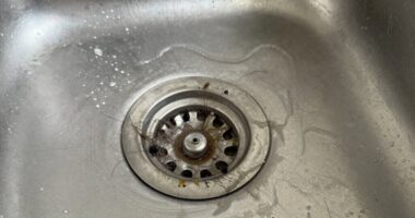 identify and prevent clogs