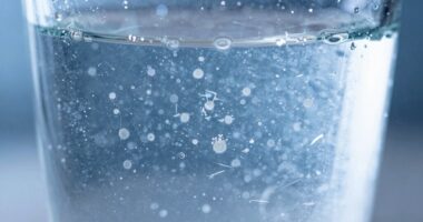 microbes thrive in cold