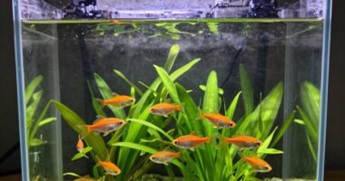 monitor water change signs