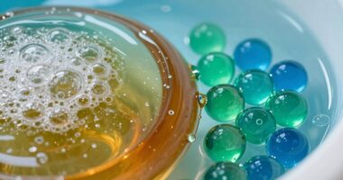 pool sanitizer comparison overview