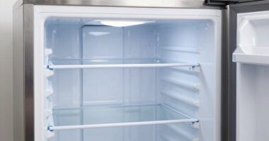 preventing biofilm in freezers