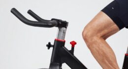 proper saddle and handlebar adjustment