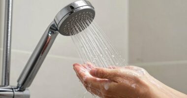 shower before swimming enclosure