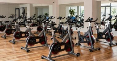 top 15 home spin bikes