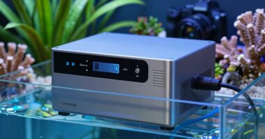 top aquarium chillers 2026