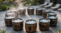top cold plunge barrel reviews