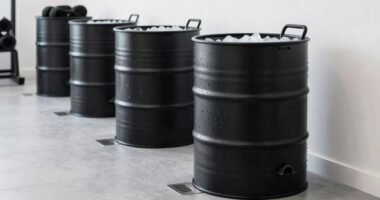 top ice bath barrels 2026