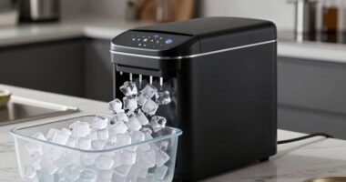 top nugget ice makers