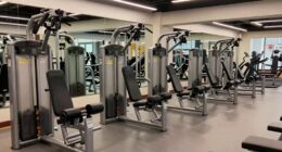 top rated leg curl machines