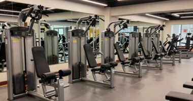 top rated leg curl machines