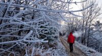 cold therapy aids recovery