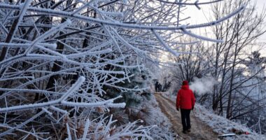 cold therapy aids recovery