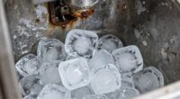 ice machine cleaning importance