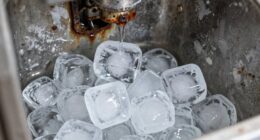 ice machine cleaning importance
