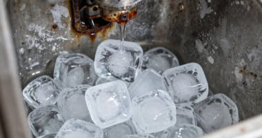 ice machine cleaning importance