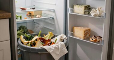 identifying and troubleshooting odors