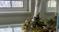 ignoring water quality issues