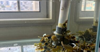 ignoring water quality issues