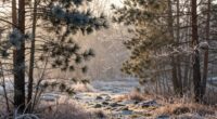 optimal cold exposure timing