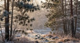 optimal cold exposure timing