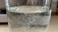 persistent cloudy water issues