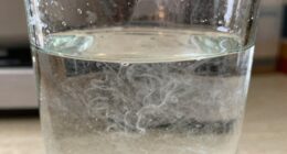 persistent cloudy water issues