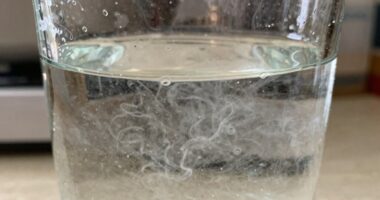 persistent cloudy water issues