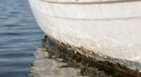 preventing waterline buildup