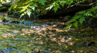 regular water quality assessments