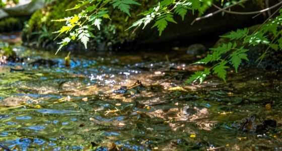 regular water quality assessments