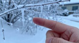 seek medical advice promptly