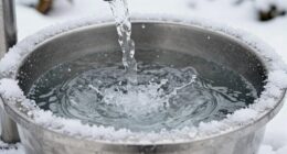 simplify cold plunge maintenance