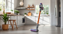 Best Dyson Battery Accessories & Parts in 2026