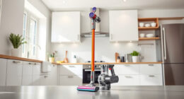 Dyson Brush Heads: Compatibility & Buying Guide