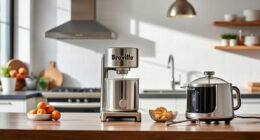 How to Clean a Breville Barista Express Effectively