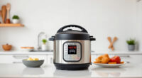 Instant Pot Spare Lids & Seals: Compatibility & Buying Guide