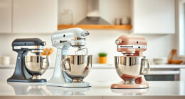 KitchenAid Professional 600 vs. Classic: Full Comparison