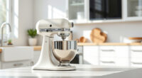 KitchenAid Stand Mixer Leaking Oil: Causes and Fixes