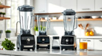 Vitamix 5200 vs Vitamix E310 Explorian: Full Comparison